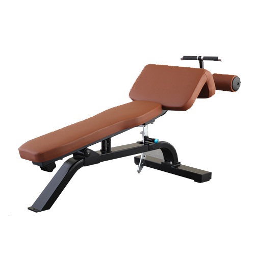 Ghế tập bụng Đại Việt DVG-1023