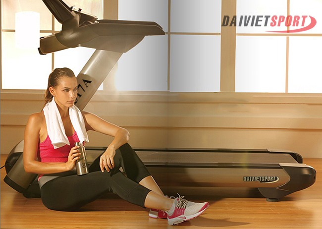 Máy chạy bộ điện phòng gym Đại Việt DV-5517A